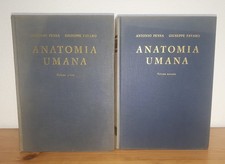 Antonio Pensa, Giuseppe Favaro