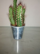 vasi vasetti in metallo multiuso portapenne porta piante stampi cucina altri usi