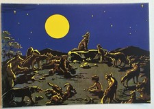 CNGEI Sezione Di Bolzano