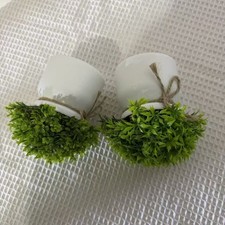 Pianta in vaso plastica verde