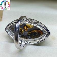 Anello Meteorite Pallasite