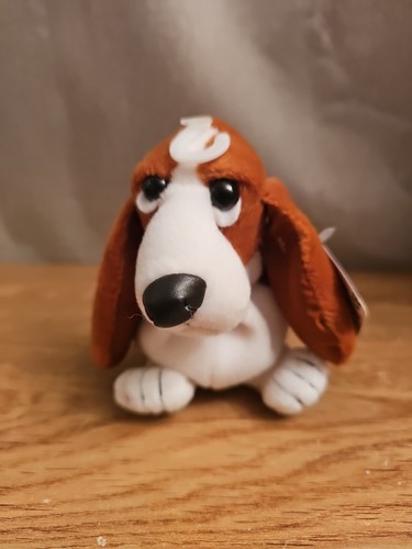 Hush puppies applause - puppies,