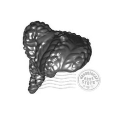 1x LEGO 69857 Omino Capelli