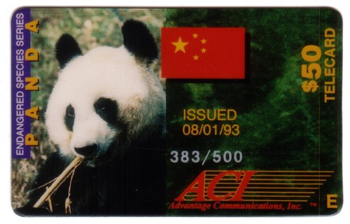 Panda gigante endangered - panda,