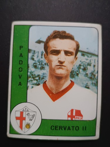 Figurina calciatori panini - figurina,