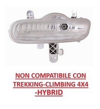 FANALE FANALINO ANTERIORE