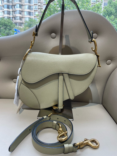 Dior medium saddle - in, sage