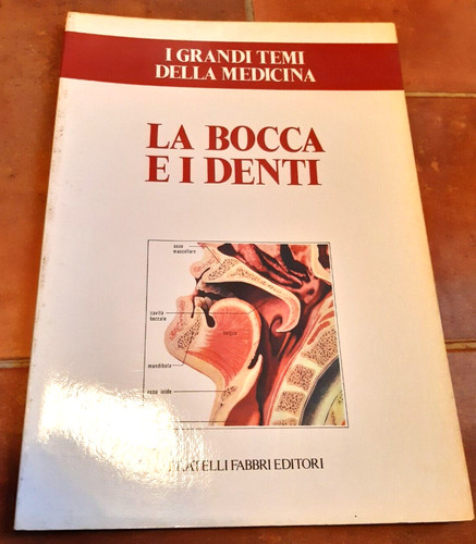Bocca denti i grandi - i,