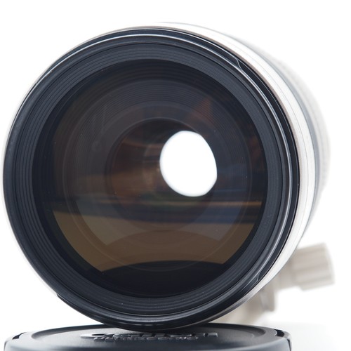 Canon 100 400mm 5 - canon, 100-400mm