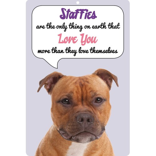 Insegna cane staffie - cane,