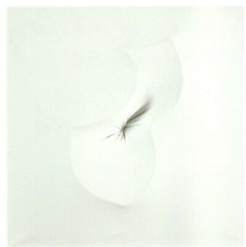 Quadro amadio giuseppe - quadro,