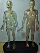 Modellini anatomici raccolta   De Agostini - Esplorando il corpo umano   an 2009