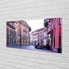 Tulup Acrylic Print 100x50