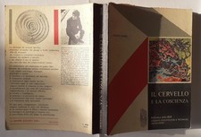 Il cervello e la coscienza