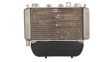 RADIATORE ACQUA LIQUIDO MOTORE