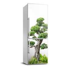 Calamita adesiva rimovibile