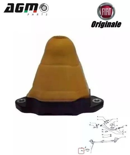 Tampone traversa posteriore
