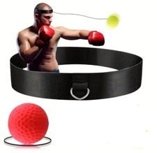 Speed Reflex Fight Ball + Head