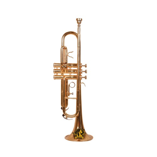 Tromba modello sound saga - tromba, saga®
