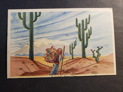 Cartolina cactus succulent - cactus,