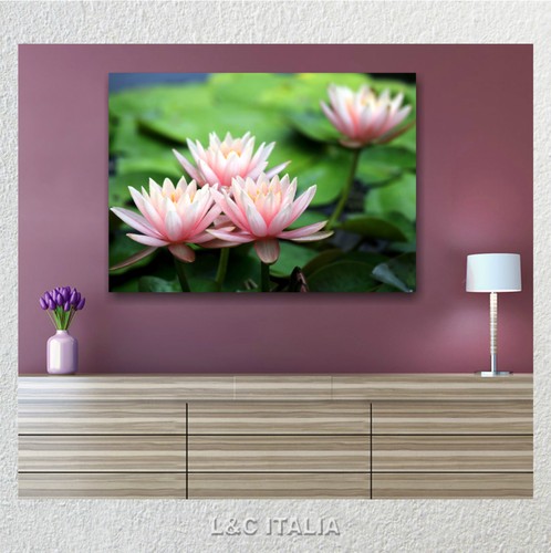 Ninfea lily quadro intelaiato - lily,