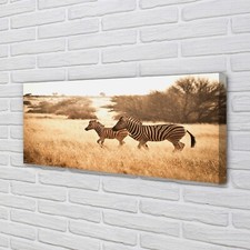 Tulup Canvas print 125x50 Wall