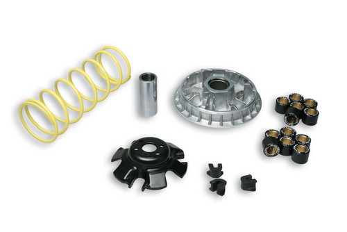 5113892 variatore malossi - variatore,
