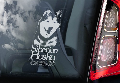 Siberian husky car sticker - husky,