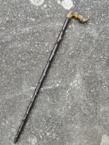 Antico bastone passeggio - bastone,