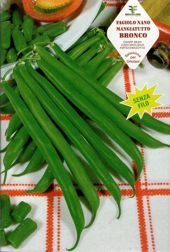 Semi seeds fagiolo nano - /,