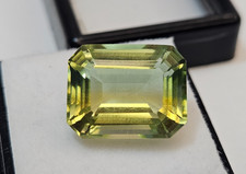 Tormalina bicolore ct - bicolore, 11-12