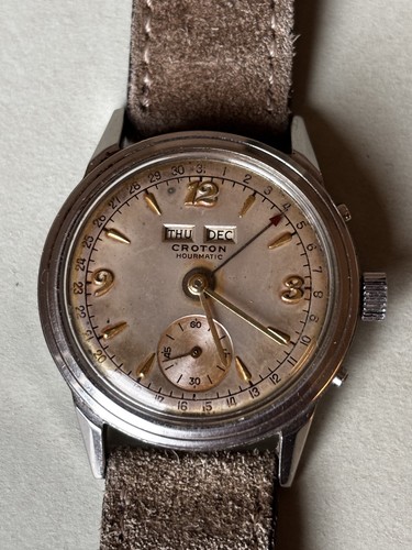 Croton nivada grenchen - nivada,