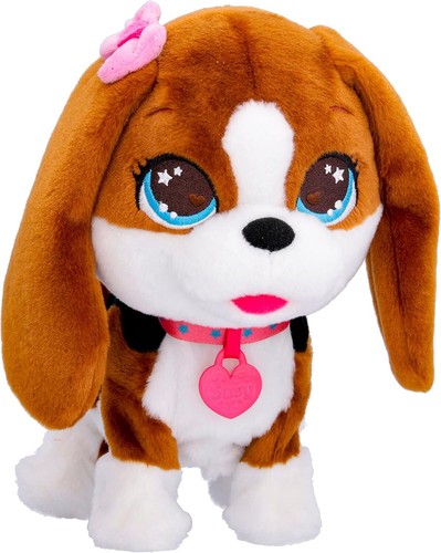 Club petz susy - club, divertente