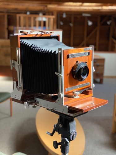 Phillips sons rara e - sons,