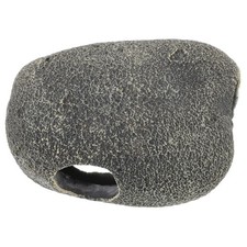  Decorazioni Acquario