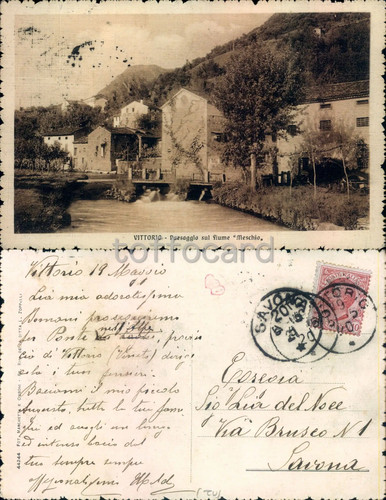 Offerta treviso - *offerta*,