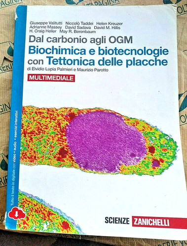Dal carbonio agli ogm - agli,