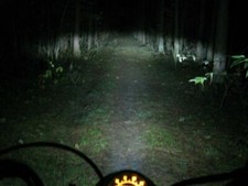 Lampada lampadina bianco