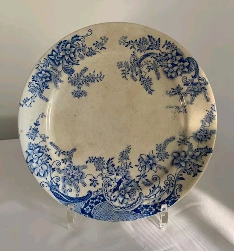 Antico piatto ceramica - , abool