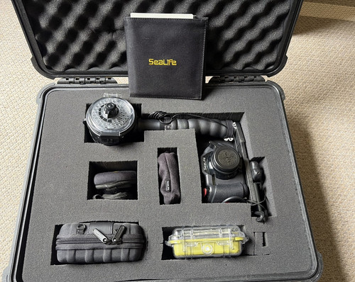 Kit fotografico subacqueo