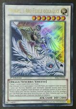 MICHAEL L' ARCI FEDELE DELLA