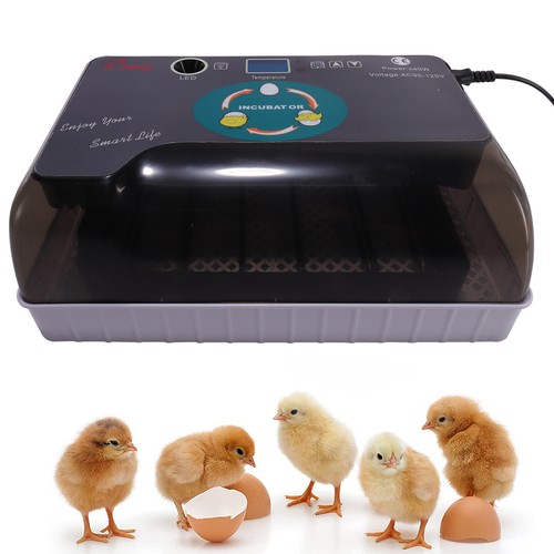 Incubatrice uova mini - 12,