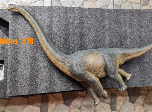 Nanm brachiosaurus - nanm, 1/35