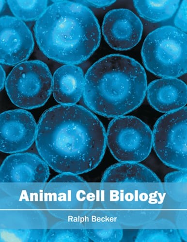 Animal cell biology - cell,