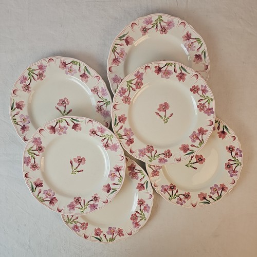 Assiettes plates décor - décor, varyag