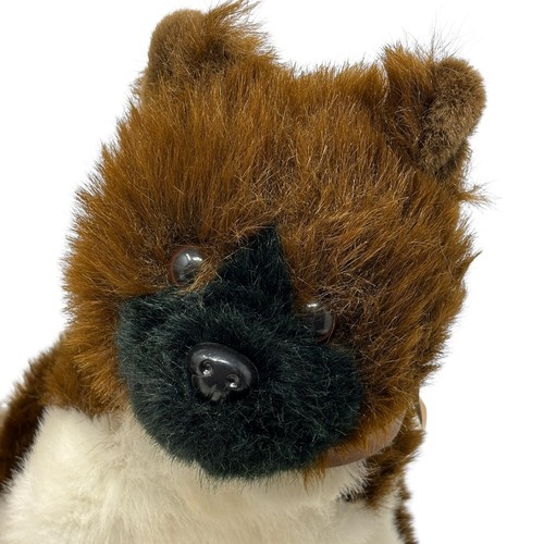 Akita cucciolo cane - cane, 10"