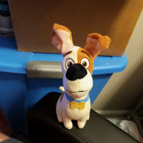 Secret life pets max - secret,