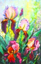 Fiori di iride dipinto olio