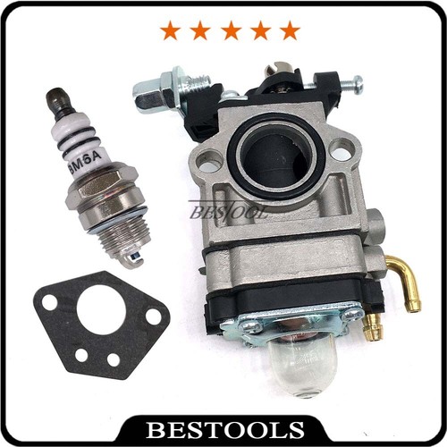 Kit carburatore per florabest - per,