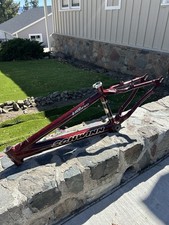Schwinn 24 Pollici XL Pro
